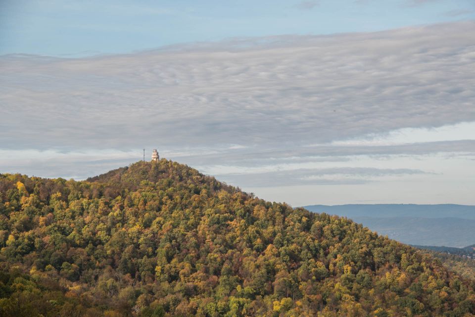 3Hour Outdoor Budapest Normafa Hike&History With a Historian - A three-hour Normafa hike with a historian’s angle