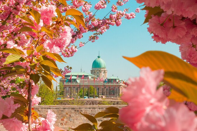 Best of Budapest Tour - Chain Bridge, Castle Garden, and Fisherman’s Bastion: Icon Photos in the Castle Quarter