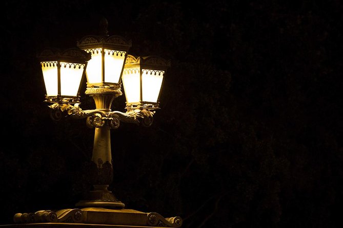Bright Lights of Budapest Night Tour with Boat Cruise and Wine - Széchenyi Chain Bridge: timing your photos between Buda and Pest