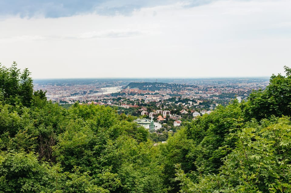 Budapest: Buda Hills Guided Hiking Tour with Optional Lunch - Who this Budapest Buda Hills tour is for