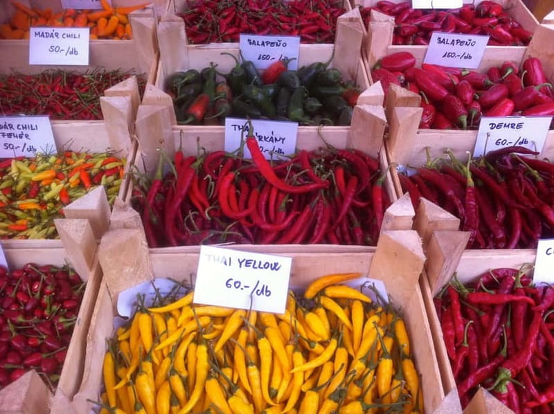 Budapest Culinary & Wine Walk—Budapest’s Signature Food Tour - Key takeaways before you go