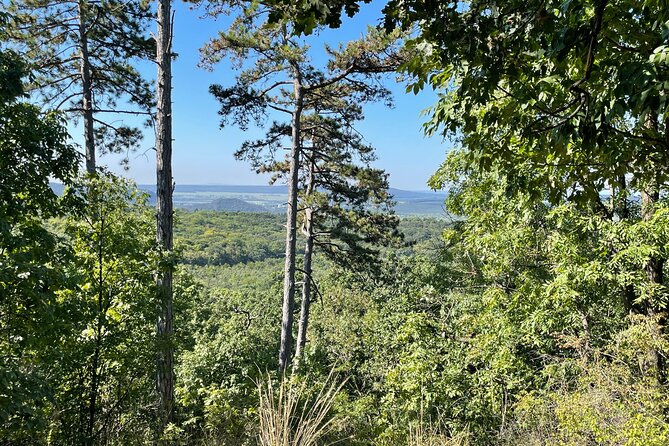 Budapest Hike - Climbing to the Observation Tower for a 360° View