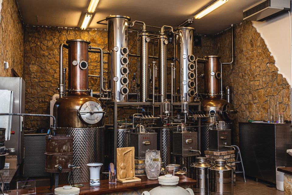 Budapest: Hungarian Whisky, Gin, and Pálinka Tasting - Who This Tour Suits Best (and Who Should Skip It)