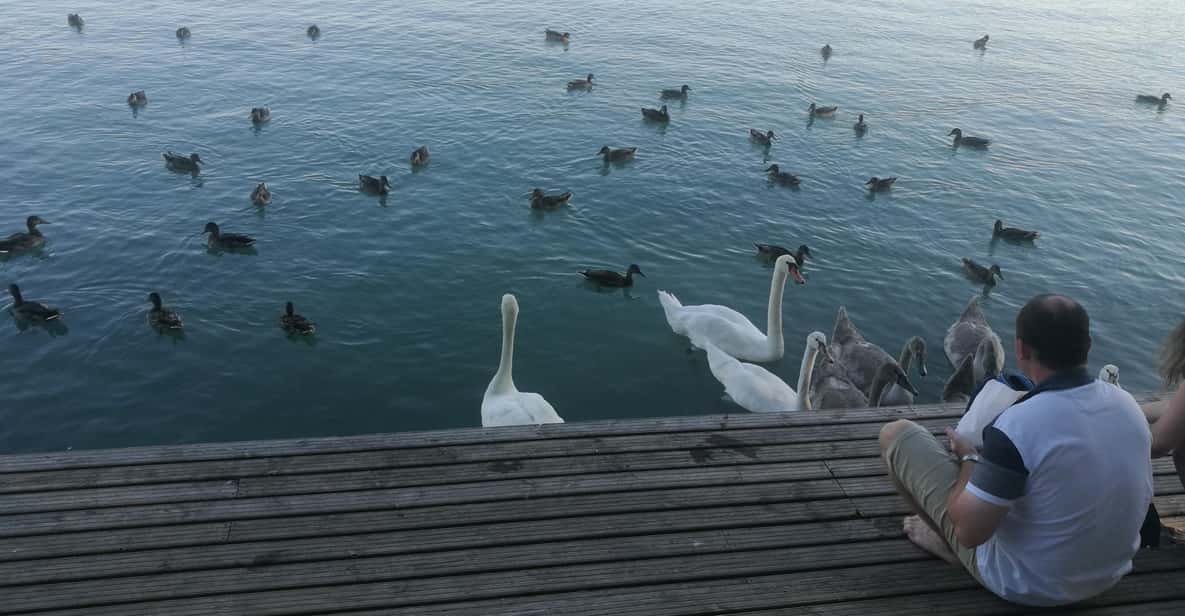 Budapest: Lake Balaton & Herend Porcelain Private Day Tour - Balatonfüred break: spa-town dessert and an easy taste of the region