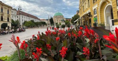Budapest: Private Walking Tour with a Local Guide - St. Stephen’s Basilica to the Hungarian Parliament: start with big architecture