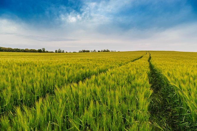 Budapest-Vienna One-Way Sightseeing Transfer - What You’ll Pay Extra For: Lunch and Optional Palace Time