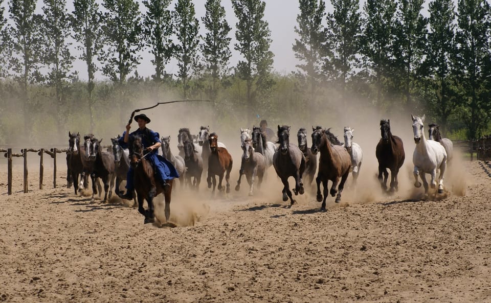 Countryside ranch, horse show & lunch - Who This Tour Suits Best (and Who Might Want Something Else)