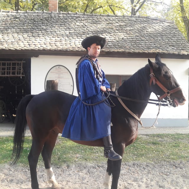 Countryside ranch, horse show & lunch - Ranch Tour and Stables: Animals You’ll Actually Want to Remember