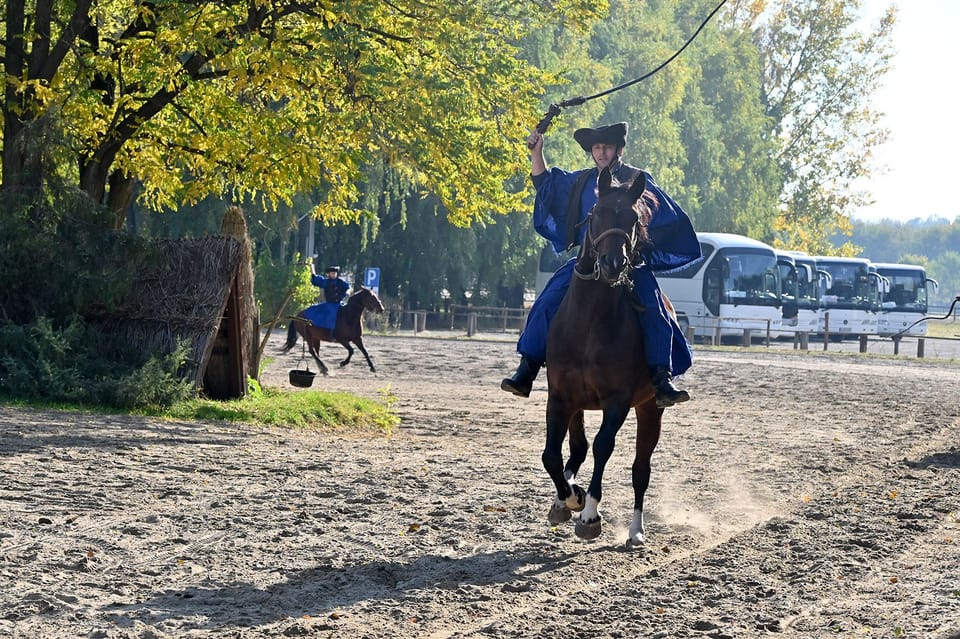 Countryside ranch, horse show & lunch - The 15-Minute Carriage Ride: Short, Scenic, and Purposeful