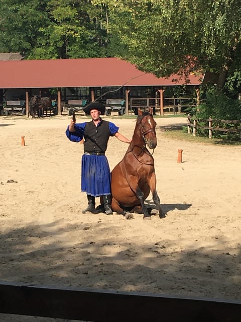 Countryside ranch, horse show & lunch - The Pace of the Day: When It Feels Relaxed
