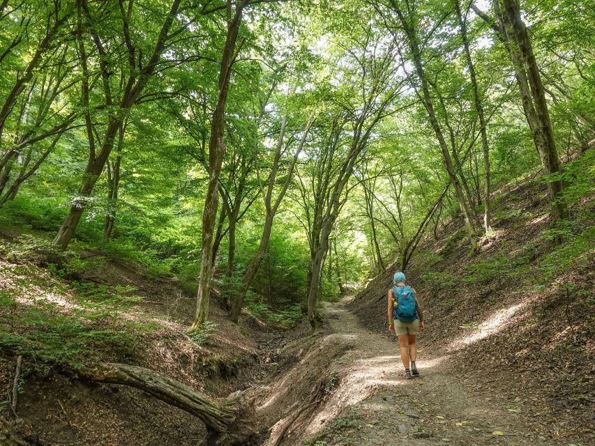 Danube Bend Hiking and Kayaking Adventure - Beech Tree Forest hiking: managing the uphill without burning out