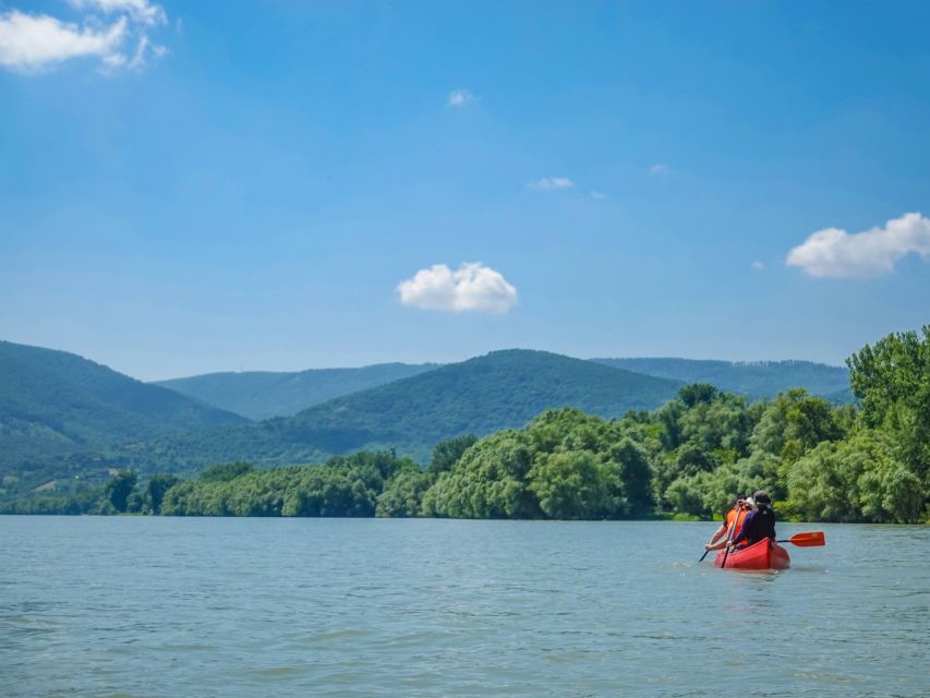 Danube Bend Hiking and Kayaking Adventure - Julianus Lookout Tower: the view that makes the whole hike feel worth it