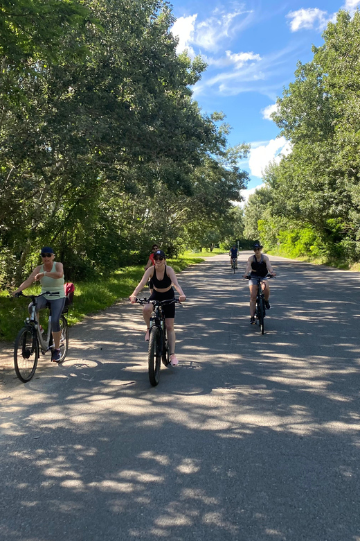 E-Bike Tour to Szentedre - Római Strandfürdő and Római Part: river views before Szentendre