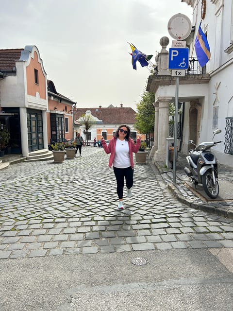 E-Bike Tour to Szentedre - Lunch and drinks reality: plan to stay fueled