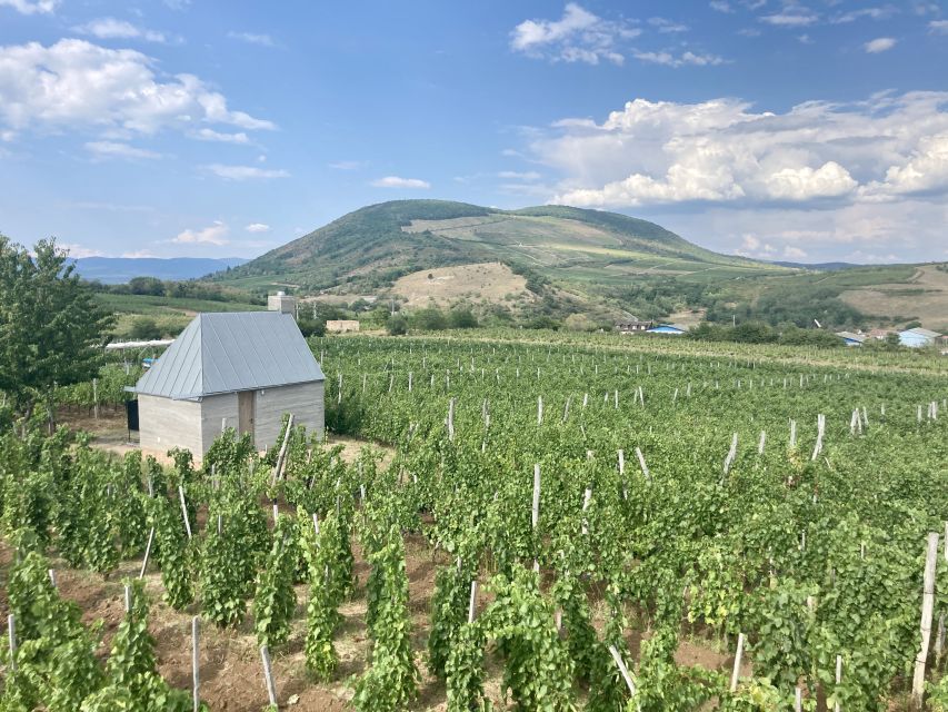 Eger: Countryside, Culture, and Wine Private Tour - Why Eger Works: fortress views, Ottoman echoes, and wine cellars