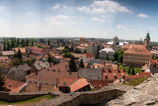 Eger Private Full-Day Wine Tasting Tour and Sightseeing from Budapest - Lunch: A Hungarian Peasant-Style Meal With Goulash