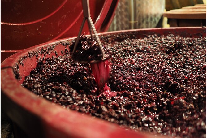 Etyek Private Half-Day Wine Tasting Tour from Budapest - Who this tour suits best