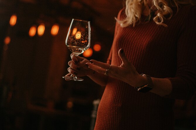 Food and Wine Tasting in Budapest City Center with Sommelier - Who Should Book This Budapest Wine Tasting