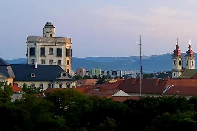 Home to Bull's Blood red wine! Eger with winetaste private tour - The Basilica (Eger): classical design with renovated splendor