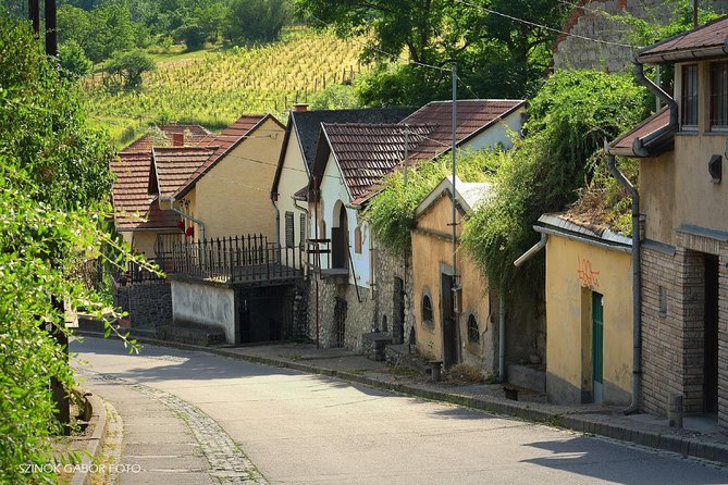 Home to Bull's Blood red wine! Eger with winetaste private tour - Dobo Square: a quick central square with the right vibe