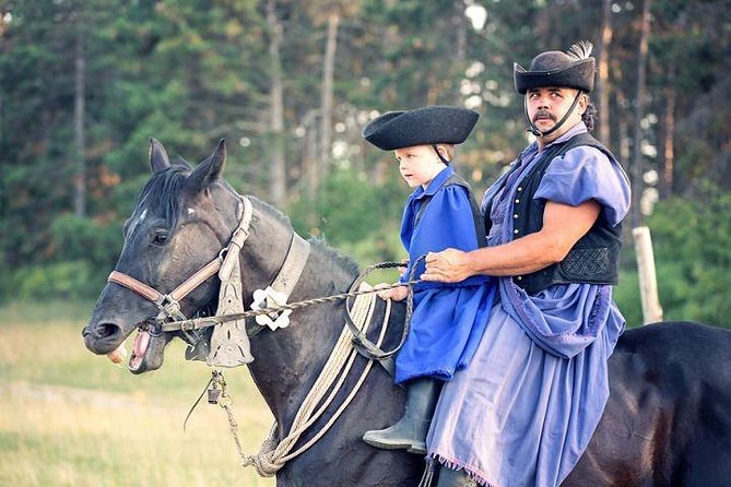Horseshow on the Hungarian Puszta, private tour from Budapest with entry! - Key Highlights You’ll Feel Immediately