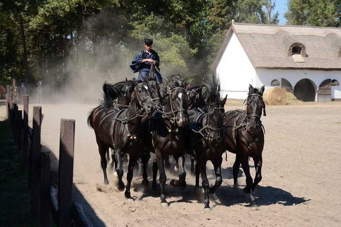 Horseshow on the Hungarian Puszta, private tour from Budapest with entry! - Private Puszta Horse Show From Budapest: What Makes It Worth Your Time
