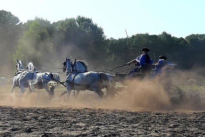 Horseshow on the Hungarian Puszta, private tour from Budapest with entry! - Lunch and Wine: The Included Hungarian Meal That Makes It Feel Complete
