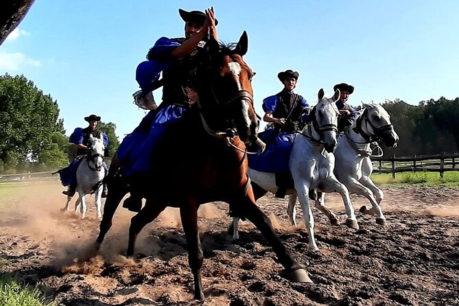 Horseshow on the Hungarian Puszta, private tour from Budapest with entry! - Value and Pricing: How $360 Adds Up (and When It Doesn’t)