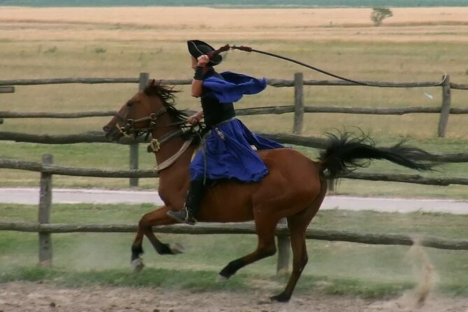 Horseshow on the Hungarian Puszta, private tour from Budapest with entry! - What You’re Really Getting Culturally (Not Just a Show)