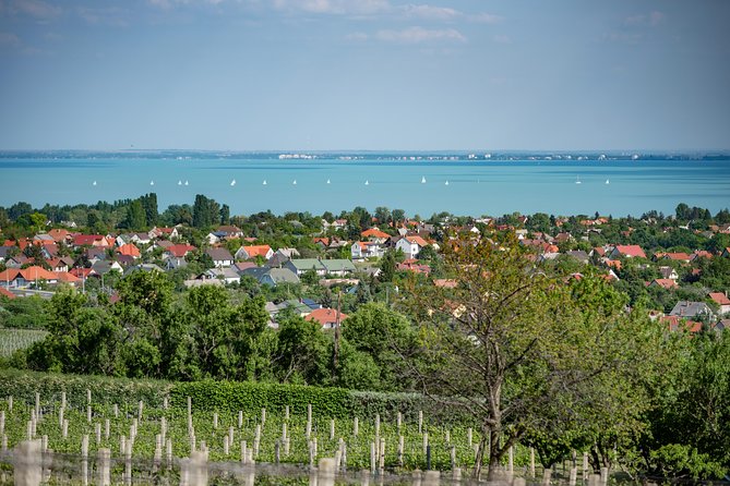 Lake Balaton Full Day Private Wine Tour - Entering Lake Balaton’s World From Budapest