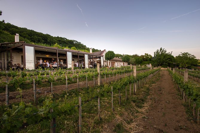 Lake Balaton Full Day Private Wine Tour - Balatonfüred and the Tagore Promenade: A Spa Town Stroll