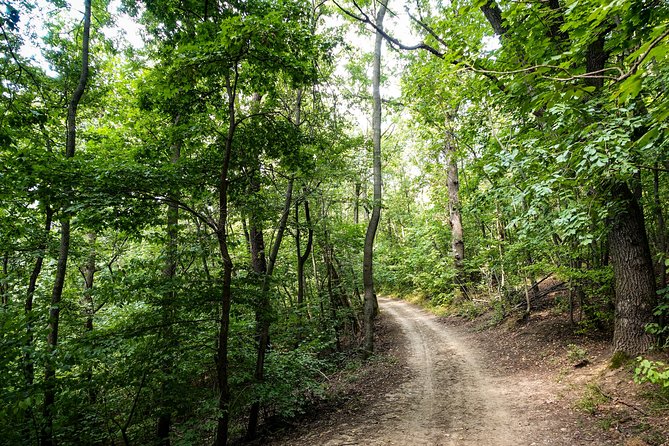 Panoramic hike around Budapest - Pace, fitness, and what to wear for a 5-hour hike