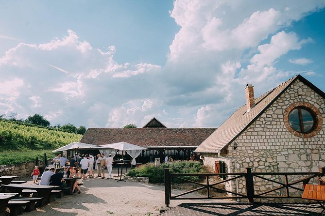 Private Etyek Wine tour with dinner including a Budapest Danube Evening Cruise - The Danube cruise: shared boat, big views, included drink