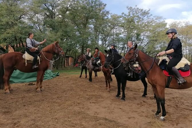 Private Horse Riding near Budapest with transport - Horses and comfort: what you can control on this tour