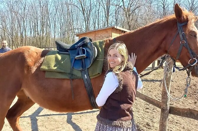 Private Horse Riding near Budapest with transport - Transportation from Budapest: save time, reduce stress