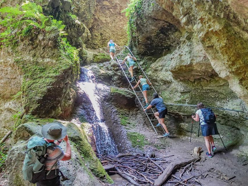 Ram Gorge Hiking Adventure - From Budapest to Dömös: a smooth start that keeps you focused on the hike