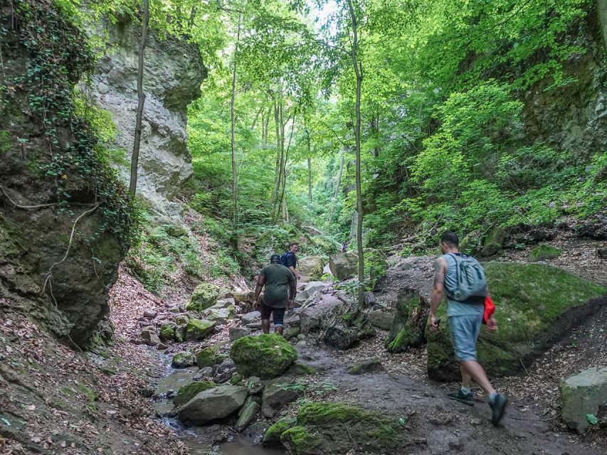 Ram Gorge Hiking Adventure - Shady beech and oak forest hiking in the Visegrád Mountains