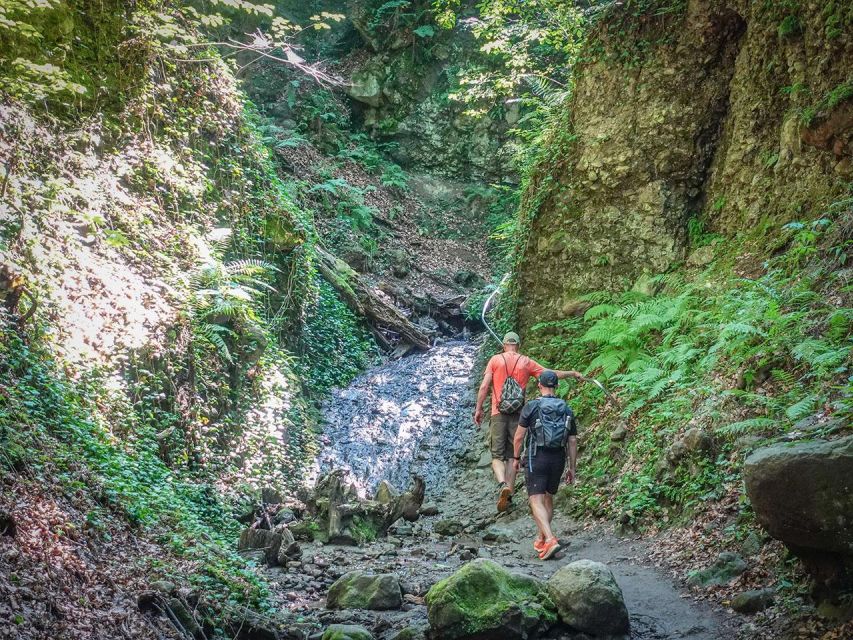 Ram Gorge Hiking Adventure - How hard is it really: 8 km, 300 m gain, and uneven footing