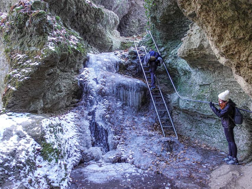 Ram Gorge Hiking Adventure - Guides like Gyuri and Attila: nature spotting makes the day feel richer