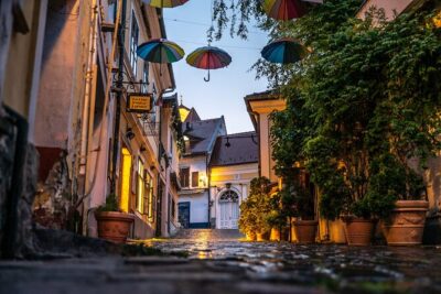 Scenic Danube River bend hills & the Art Town: Private Car Tour - Stop in Visegrád: Former Capital on a Hill