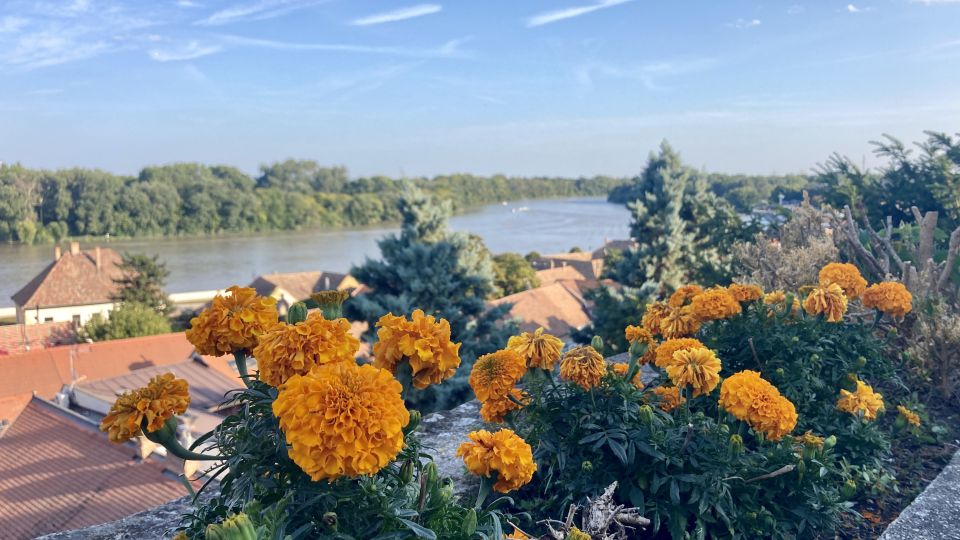 Szentendre: Arts and Cafés Tour (Half-Day Private Tour) - Key things to know before you go