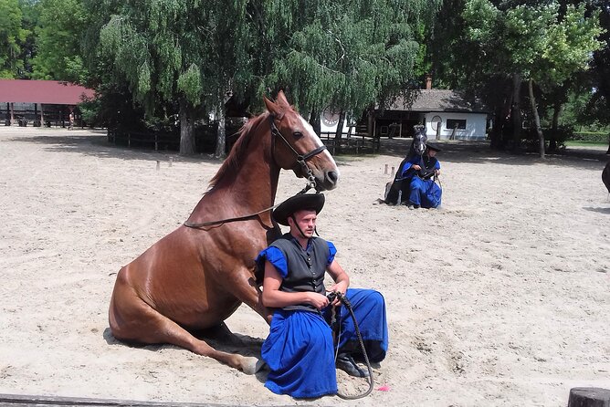 The "Puszta" Horse Show - Key points that matter