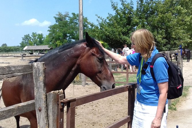 The "Puszta" Horse Show - The included Hungarian lunch and drinks (and why it’s good value)