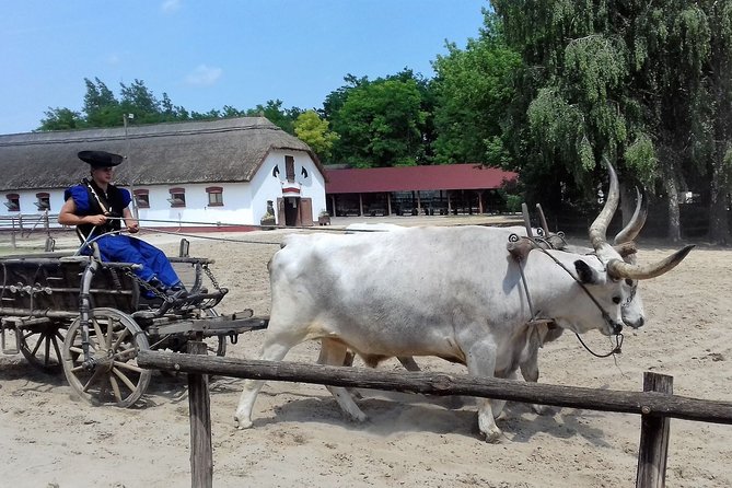 The "Puszta" Horse Show - Group size, pace, and how to plan your day