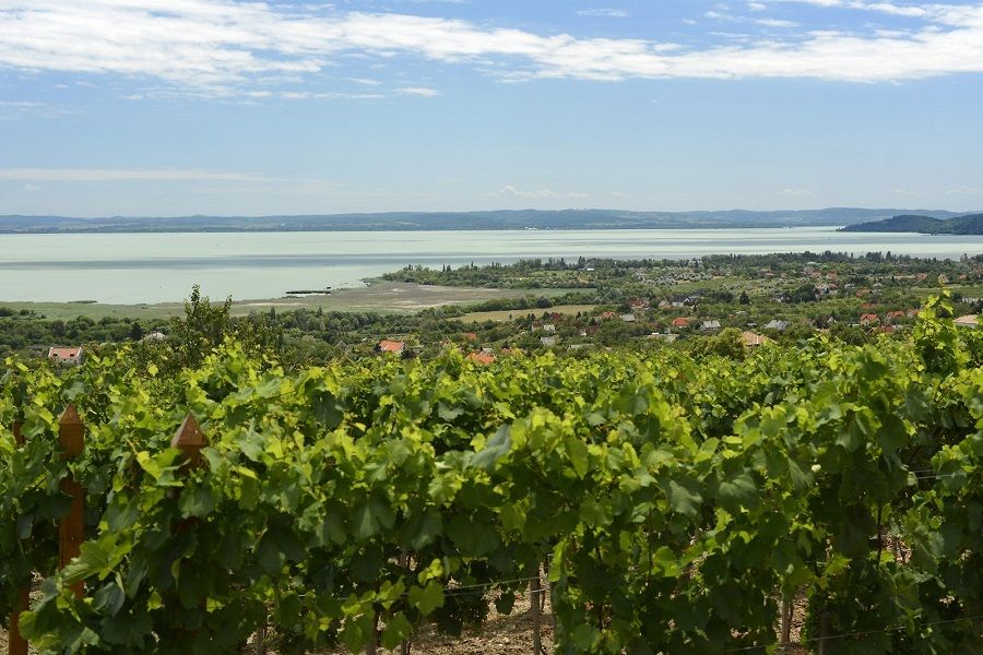 The Turquoise Sea of Hungary: Lake Balaton Private Tour - Tihany Peninsula and Village: Old Stones, Protected Nature, and Big Views
