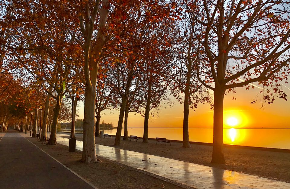 The Turquoise Sea of Hungary: Lake Balaton Private Tour - Transport, Comfort, and What You’re Paying For