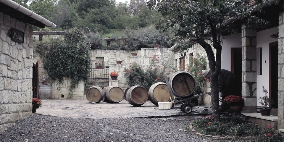 Tokaj Private Day Tour from Budapest - Price and value: $965 per group up to 6