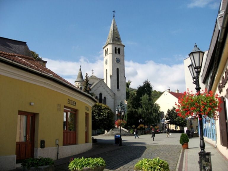 Tokaj Private Day Tour from Budapest - The vineyard stops in Mád and Bodrogkeresztúr