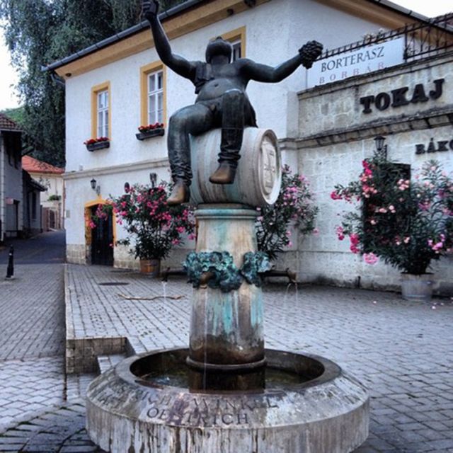 Tokaj Private Day Tour from Budapest - Tasting in a structured way: what you’re paying for
