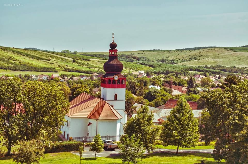 Tokaj Private Day Tour from Budapest - The optional Sárospatak castle ticket question